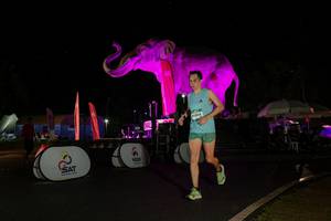 BIB: 
                            <button type="button" onclick="openModal(26543114)" class="btn btn-primary btn-sm float-right btn-popup" data-toggle="modal" data-target=".modal-high-quality">
                        <i class="fas fa-shopping-cart"></i> Add to Cart
                    </button>
                                            <button type="button" onclick="isThisMe(26543114, true)" class="btn btn-success btn-sm float-right btn-popup btn-isme hidden" data-toggle="tooltip" data-placement="bottom" title="นี่คือรูปของคุณใช่ไหม คลิกที่นี่เพื่อเอาเข้าอัลบั้ม">
                        <i class="fas fa-plus"></i> Add to album
                    </button>
                    <button type="button" onclick="isThisMe(26543114, false)" class="btn btn-warning btn-sm float-right btn-popup btn-isnotme hidden">
                        <i class="fas fa-ban"></i> Remove from album
                    </button>